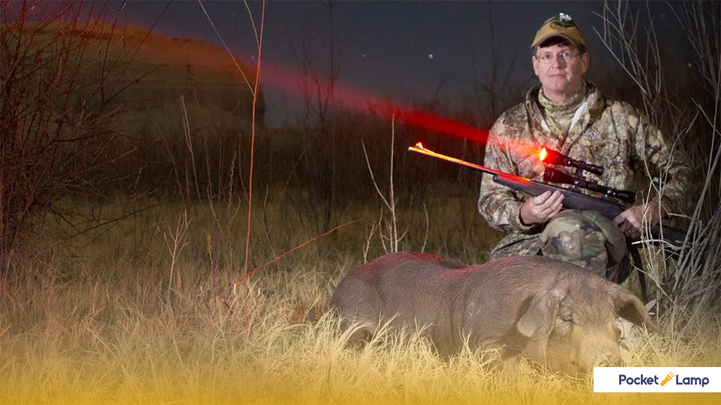بررسی انواع چراغ قوههای قرمز و کاربرد آنها در شکار