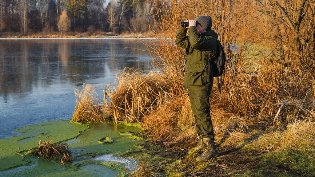 فصل شکار پرندگان چه زمانی است؟