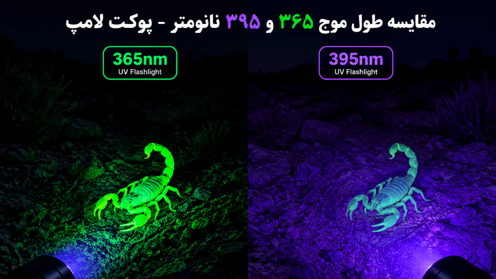 راهنمای خرید بهترین چراغ قوه UV برای عقرب یابی